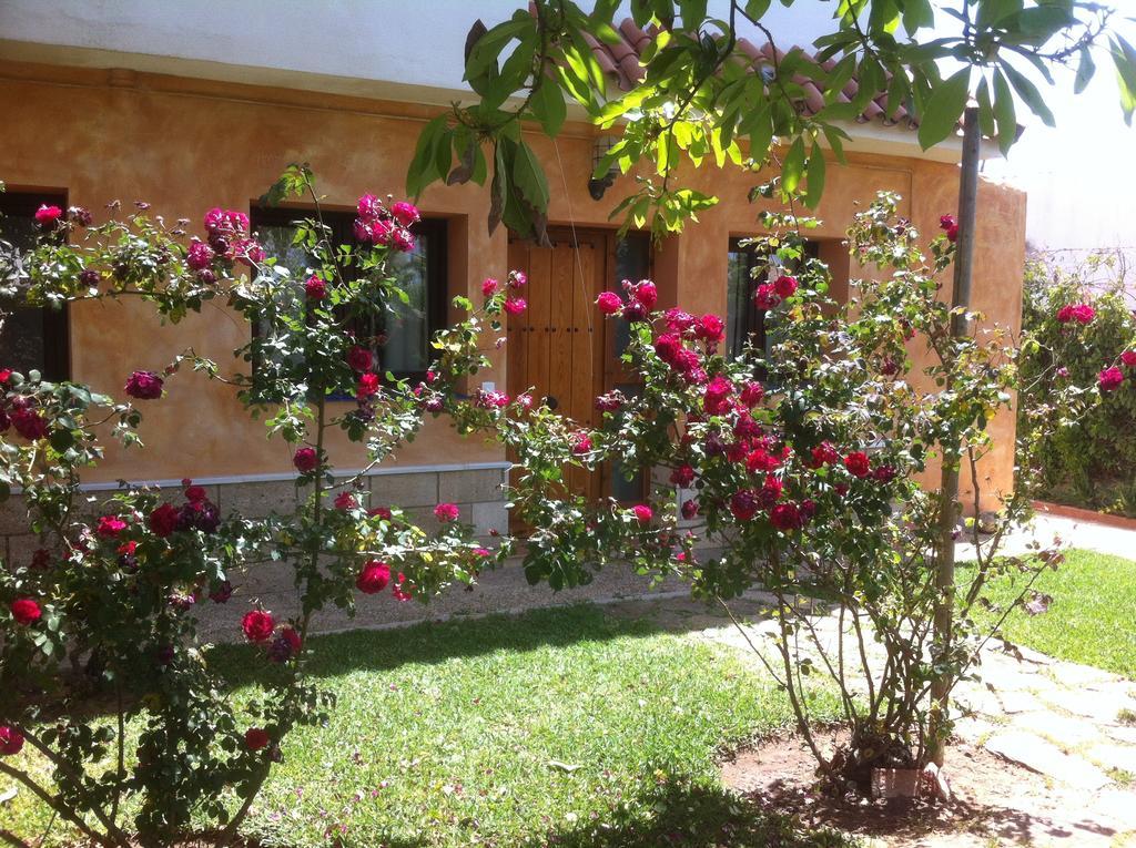 Paraiso Perdido Conil De La Frontera Εξωτερικό φωτογραφία